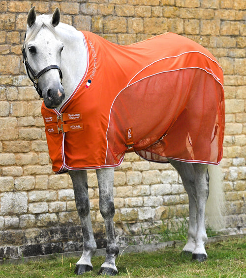 Horse Rugs, Turnout Rugs & Cooler Rugs Premier Equine Int Premier