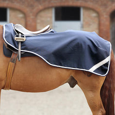 Horse Exercise Sheets