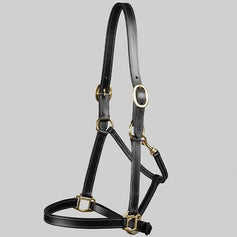 Horse Head Collars