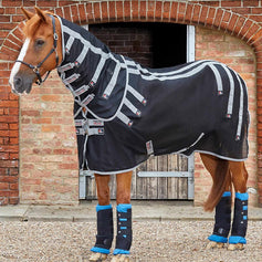 Therapy | Premier Equine Int. Ltd.