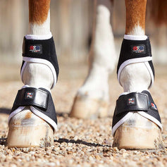 Horse Magnet Products | Premier Equine Int. Ltd.