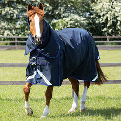 Horse Turnout Rugs | Premier Equine Int. Ltd.