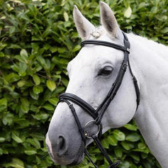European Bridles