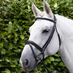 European Bridles
