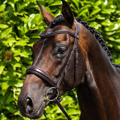 Italian Bridles