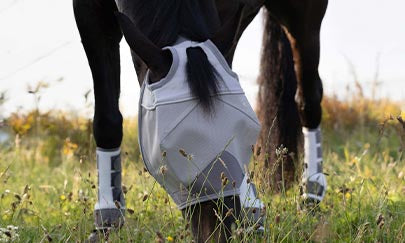 An image thumbnail accompanying the content below.