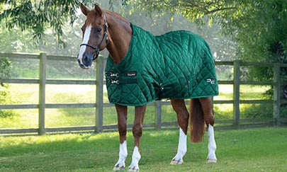 An image thumbnail accompanying the content below.