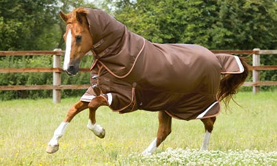 An image thumbnail accompanying the content below.