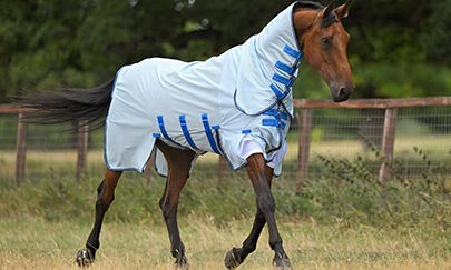 An image thumbnail accompanying the content below.