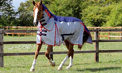 An image thumbnail accompanying the content below.