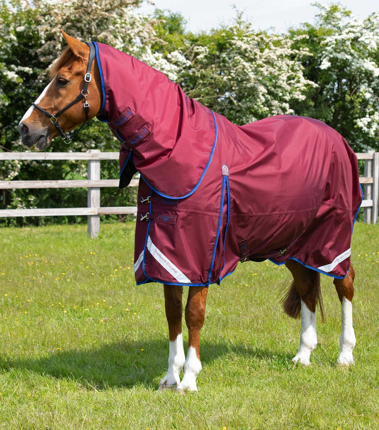 EX DISPLAY - Buster 40g Turnout Rug with Classic Neck Cover