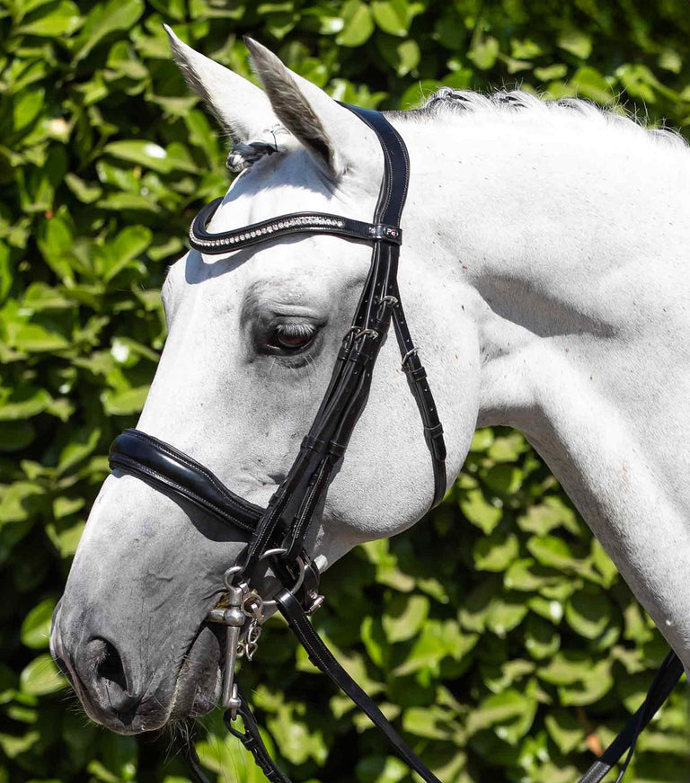 Abriano Anatomic Double Bridle