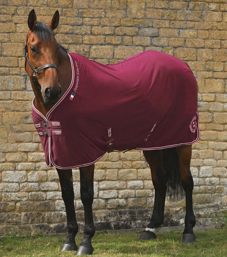 Airtech horse cooler rug