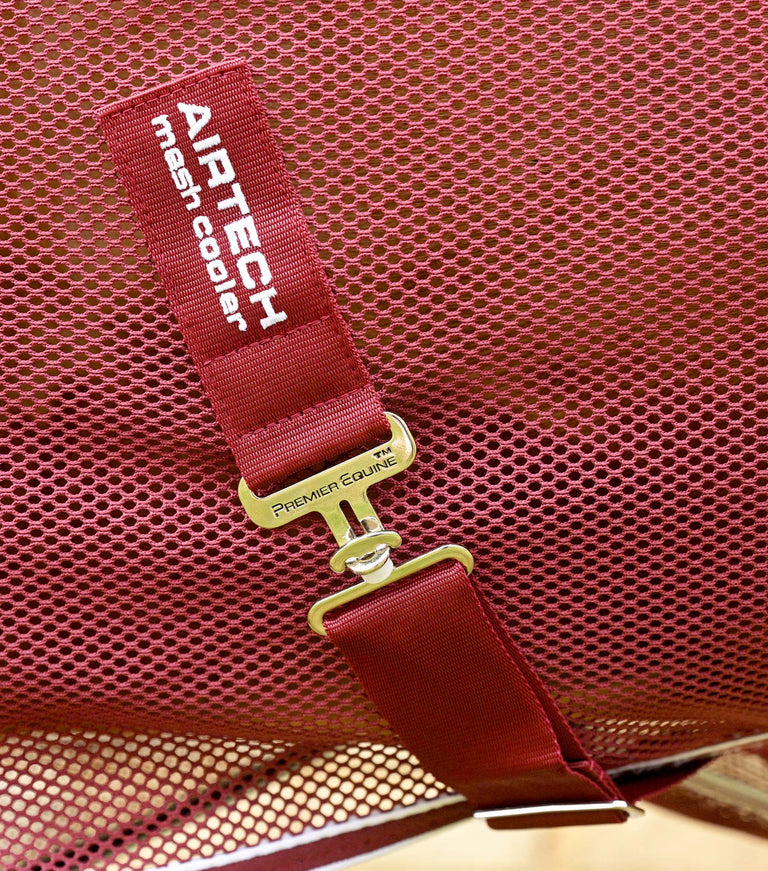 Airtech mesh horse cooler rug