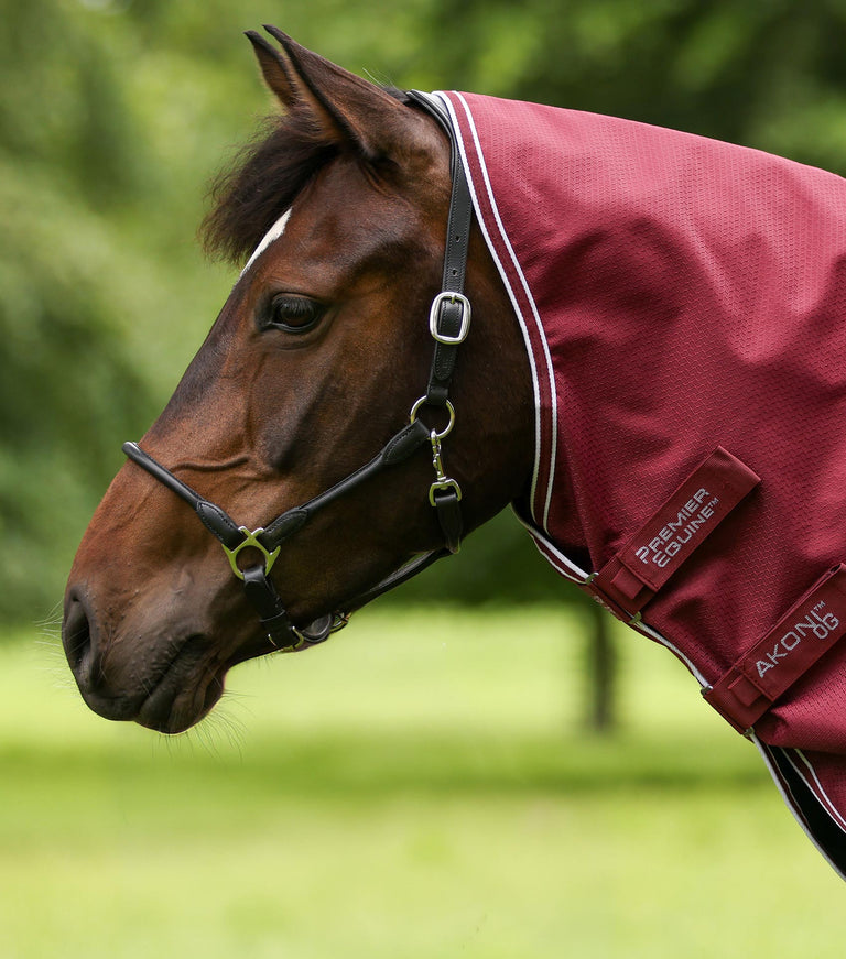  Akoni 0g Turnout Rug with Classic Neck Cover