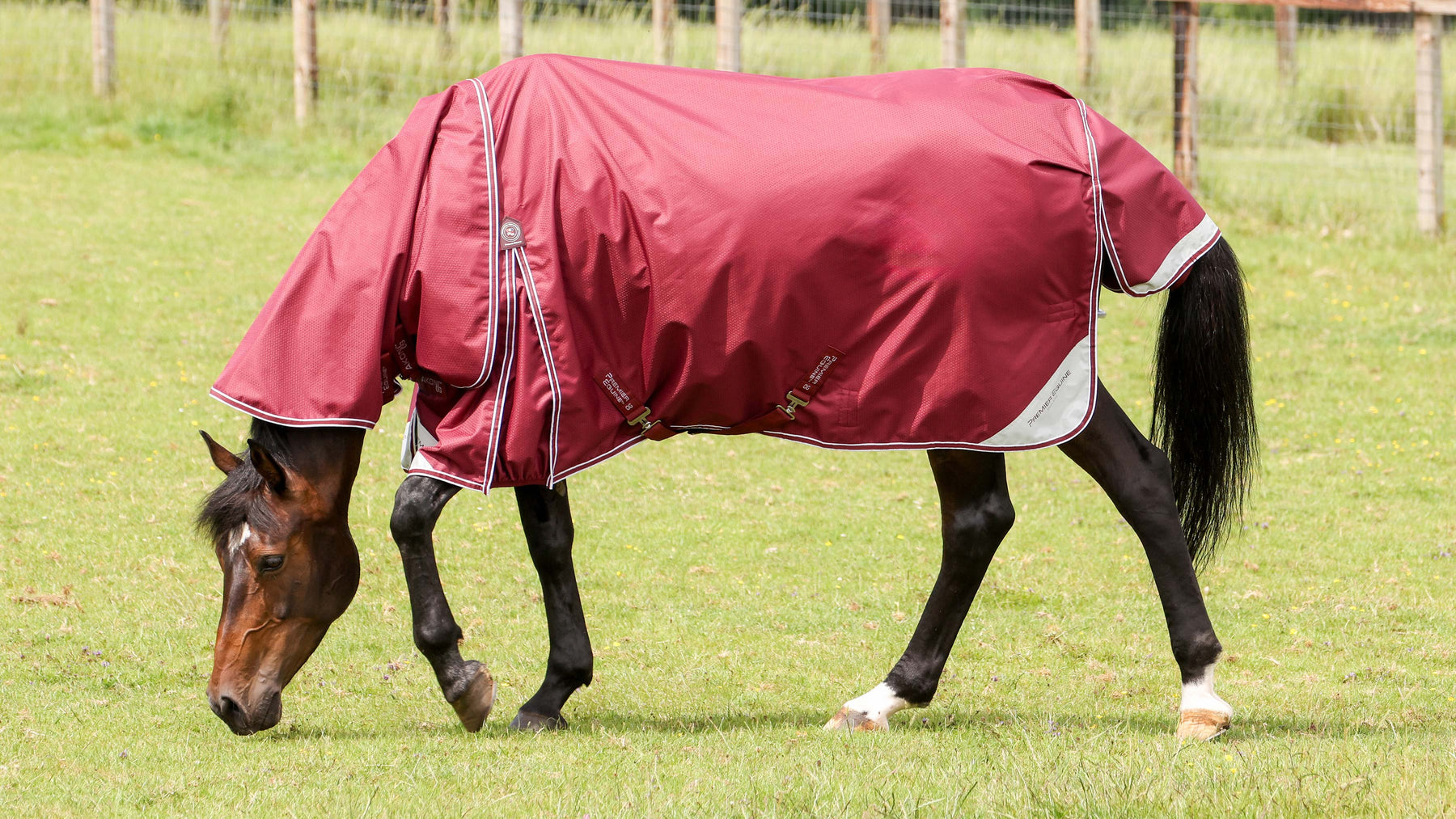 Premier Equine Akoni 600D waterproof turnout rug in burgundy