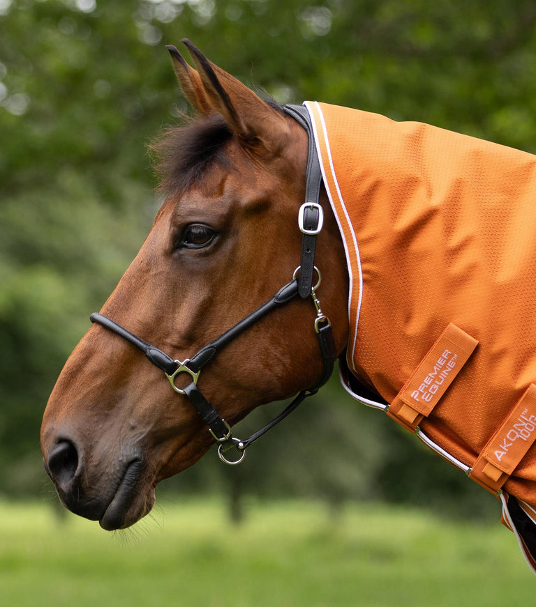 Akoni 100g with neck
