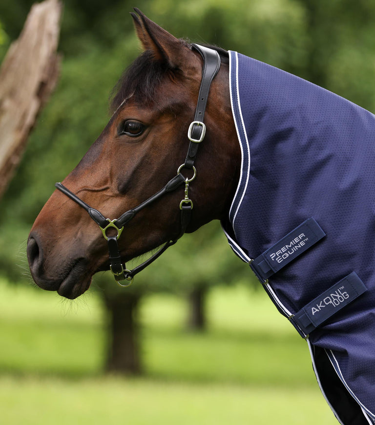 Akoni 100g with neck