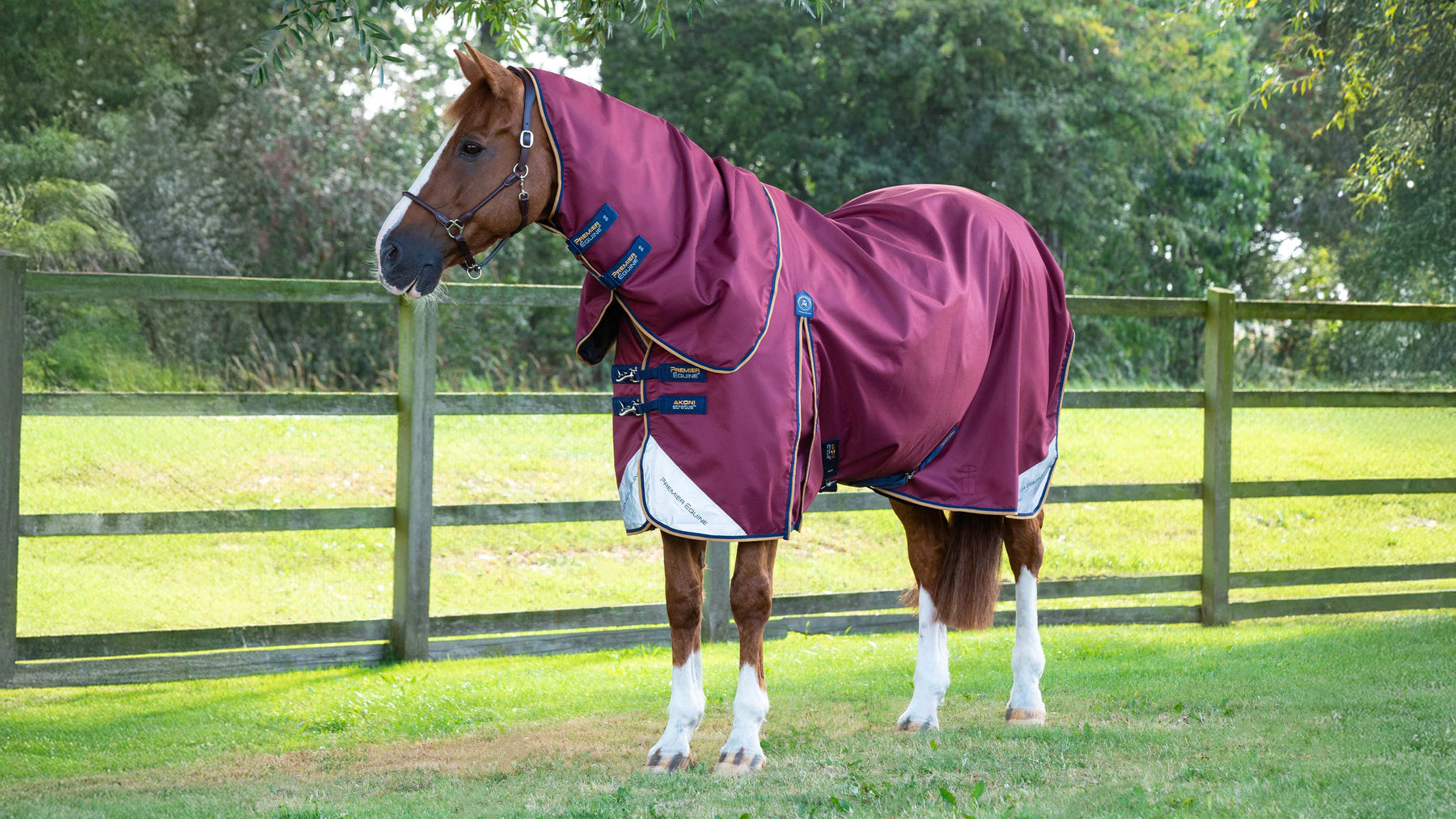 Premier Equine Akoni turnout rug in burgundy