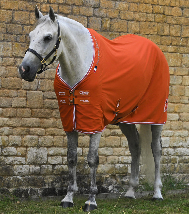Atlas horse cooler rug