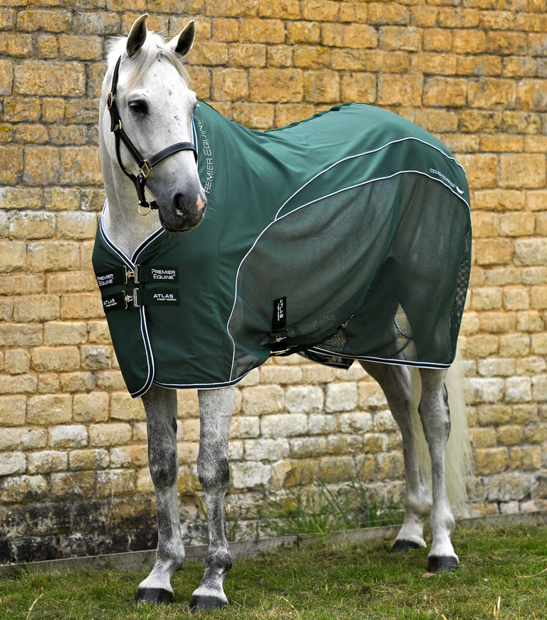 Atlas mesh horse cooler rug
