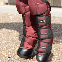 Premier equine travel boots sales