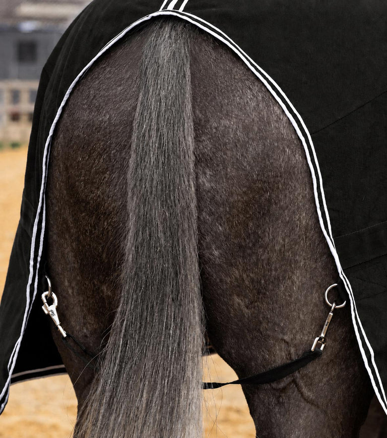 Barrasso stable sheet