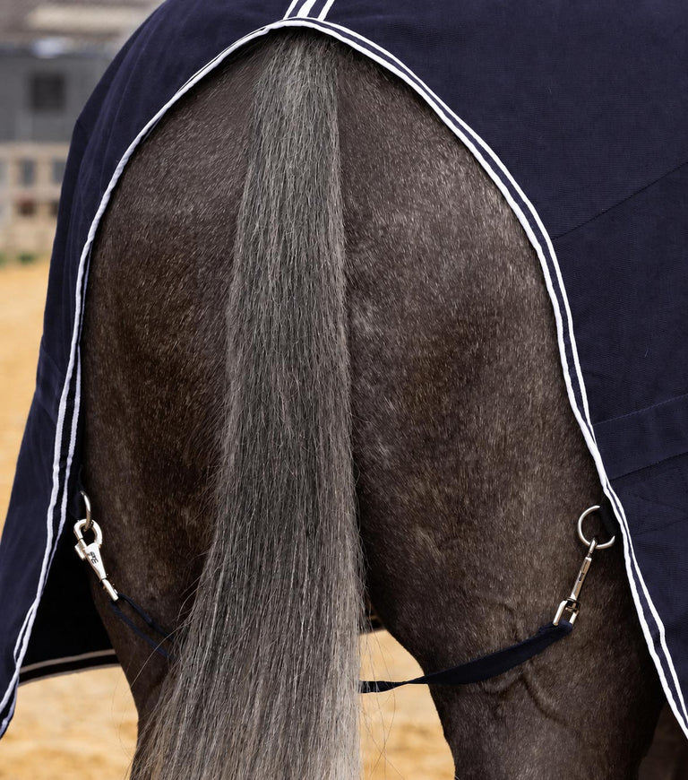 Barrasso stable sheet