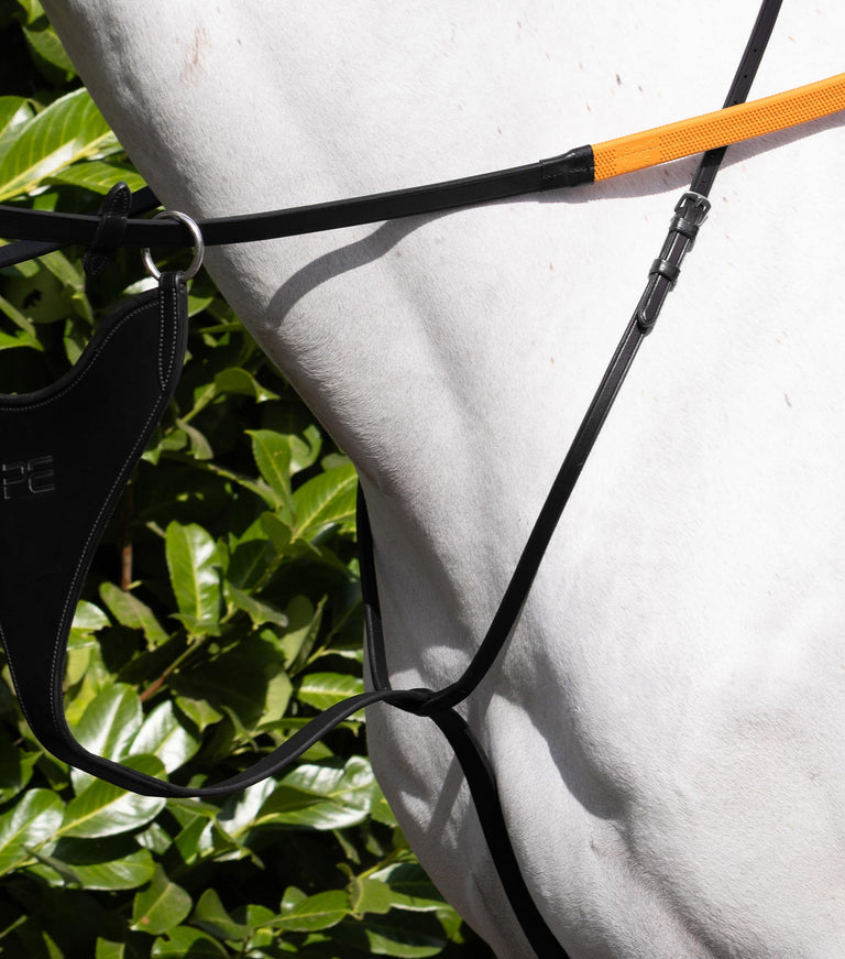 bib martingale
