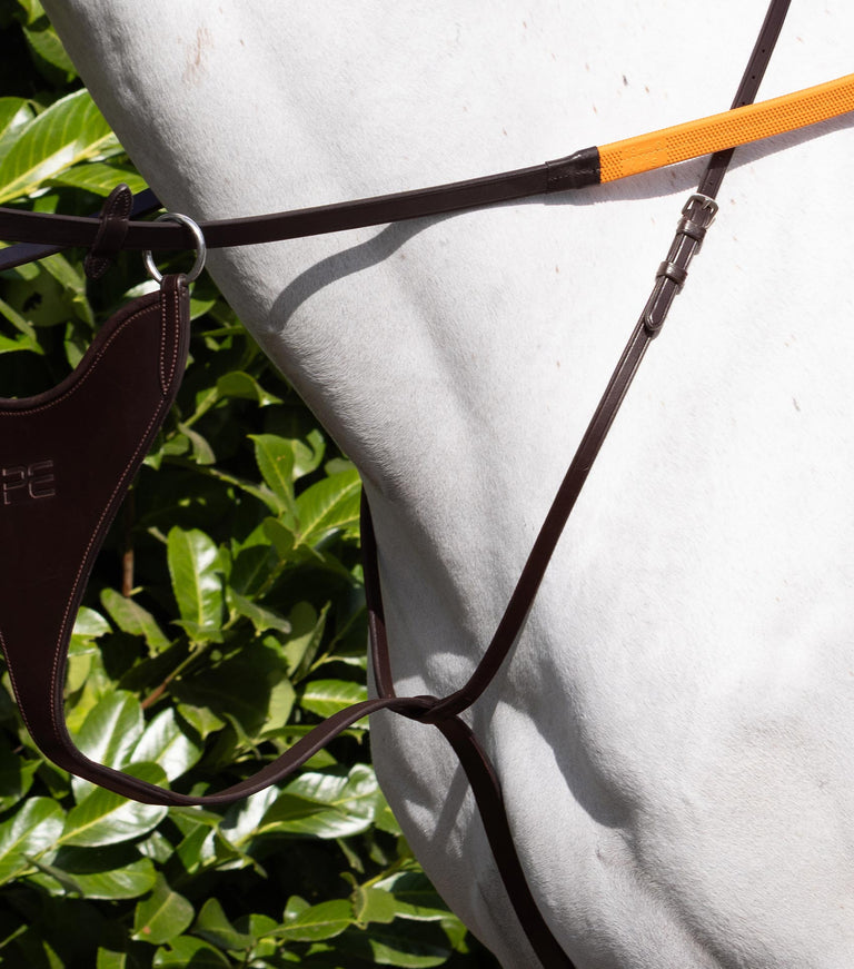 Bib martingale