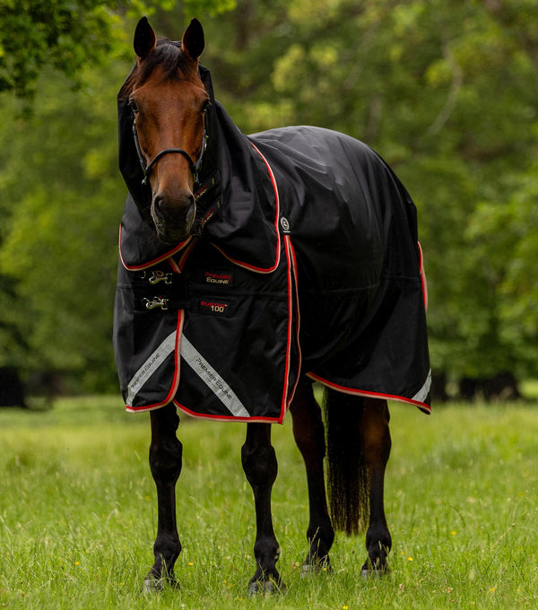 Buster 100g Turnout Rug with Snug-Fit Neck Cover