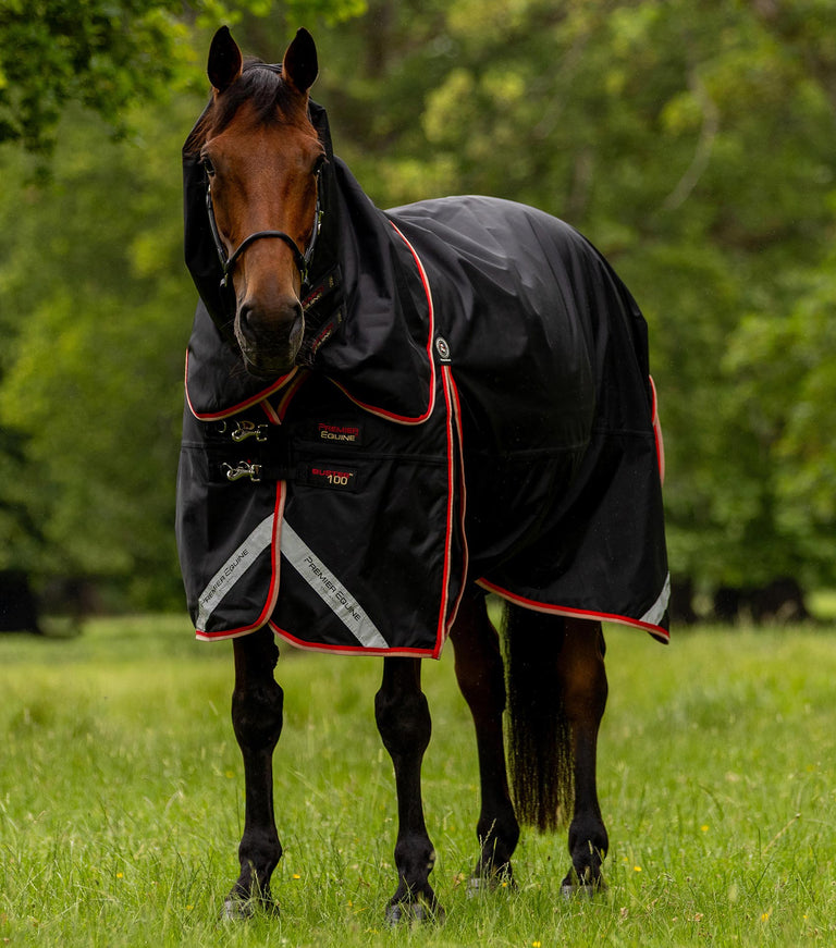 Buster 100g Turnout Rug with Snug-Fit Neck Cover