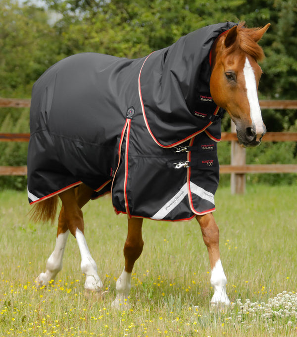 Buster 100g Turnout Rug with Snug-Fit Neck Cover