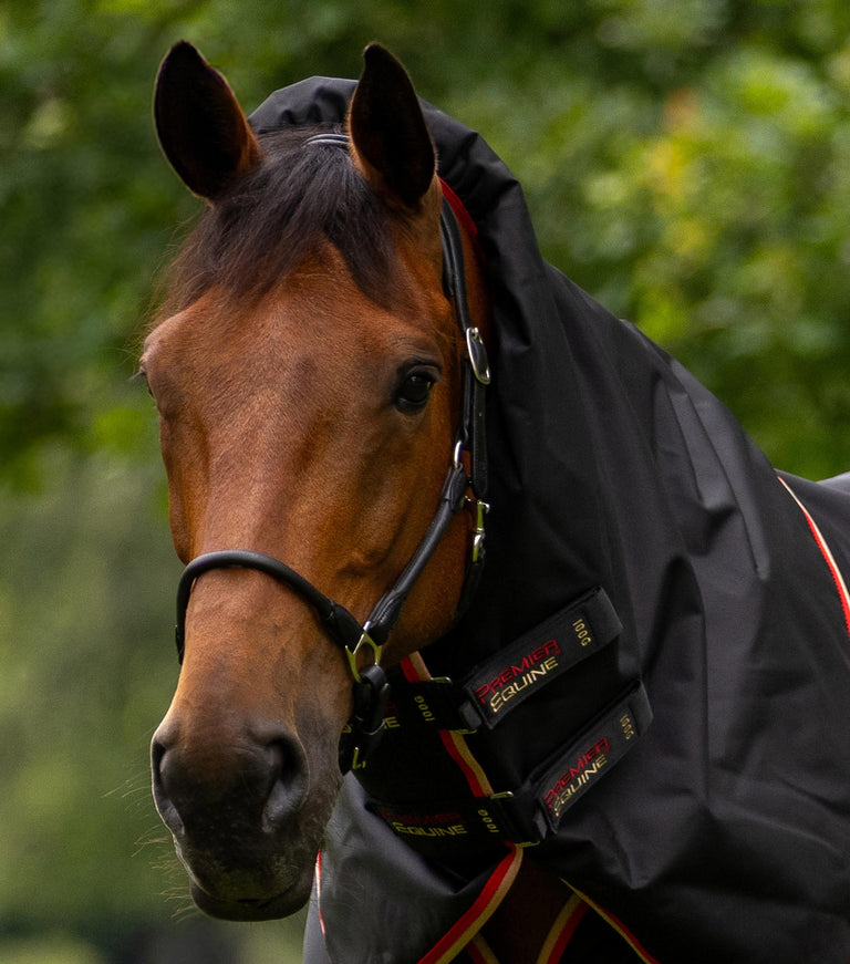 Buster 100g Turnout Rug with Snug-Fit Neck Cover