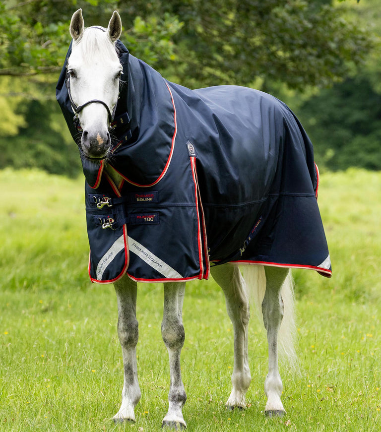 Buster 100g Turnout Rug with Snug-Fit Neck Cover