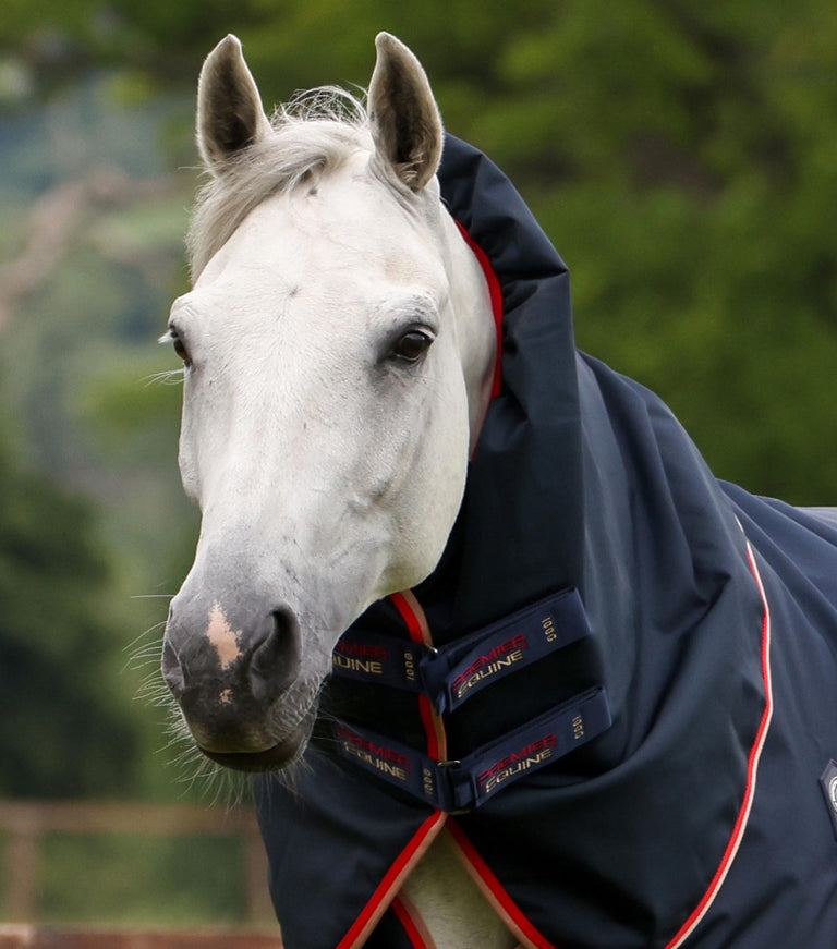 Buster 100g Turnout Rug with Snug-Fit Neck Cover