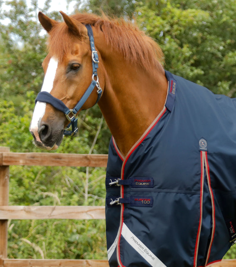Buster 100g Turnout Rug with Snug-Fit Neck Cover