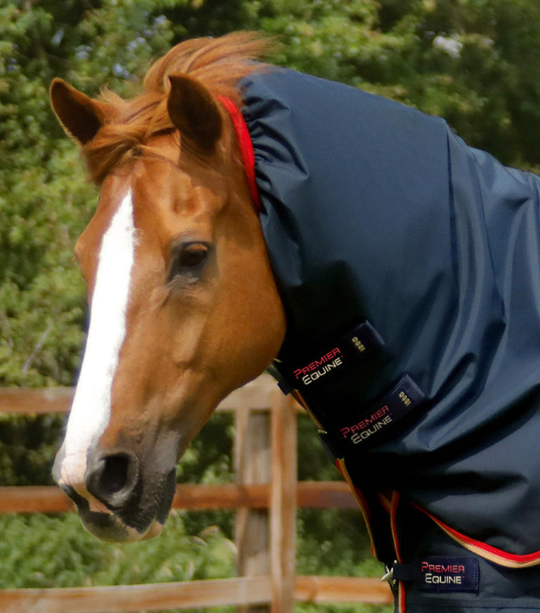Buster 100g Turnout Rug with Snug-Fit Neck Cover