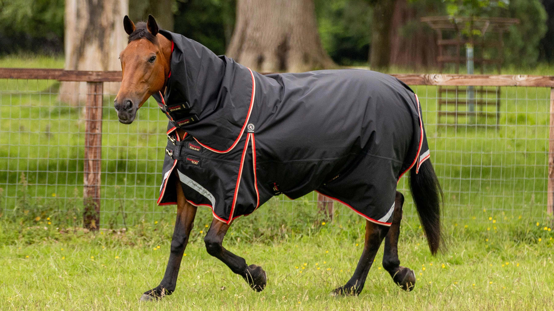 Premier Equine Buster turnout rug in black