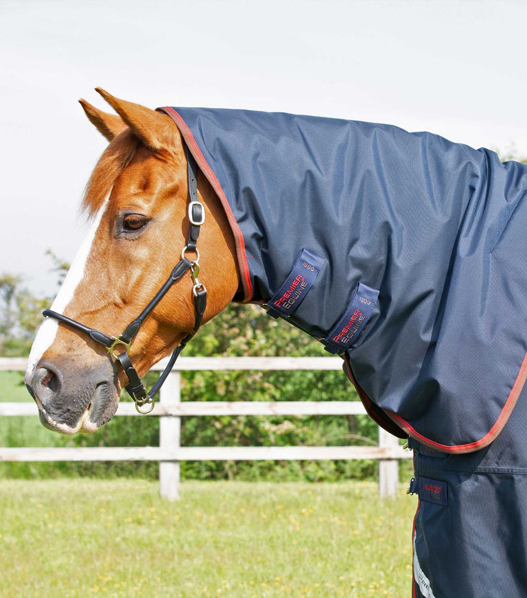 Buster 150g Turnout Rug with Classic Neck Cover