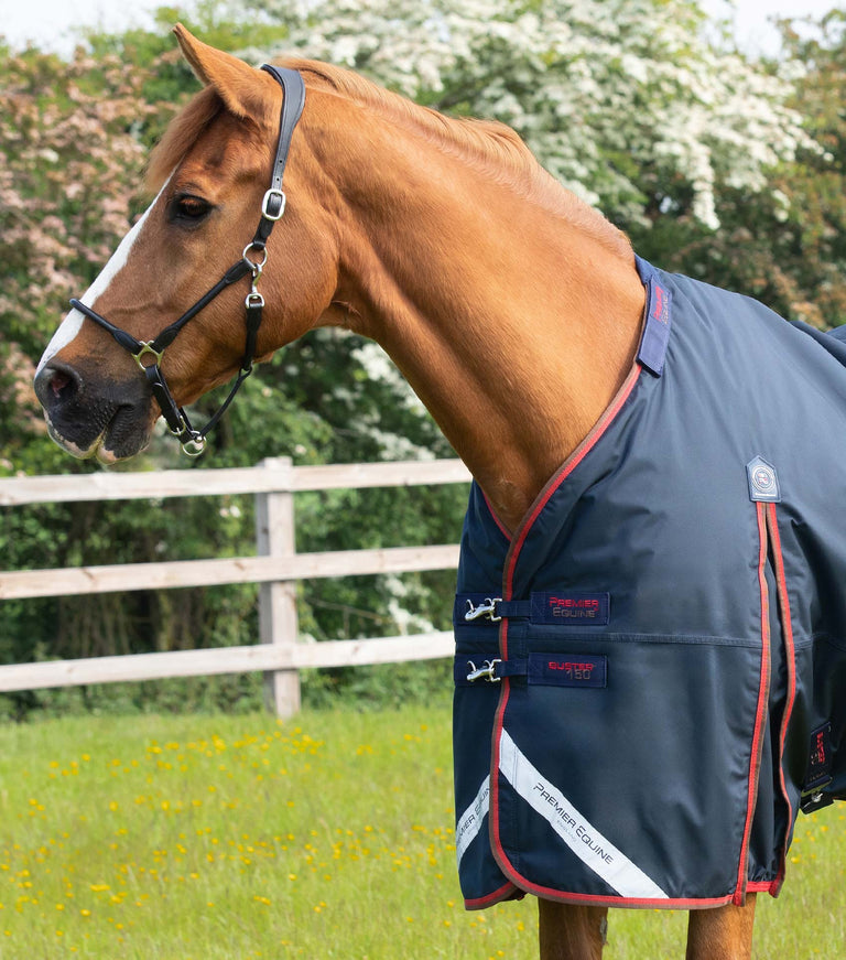 Buster 150g Turnout Rug with Classic Neck Cover