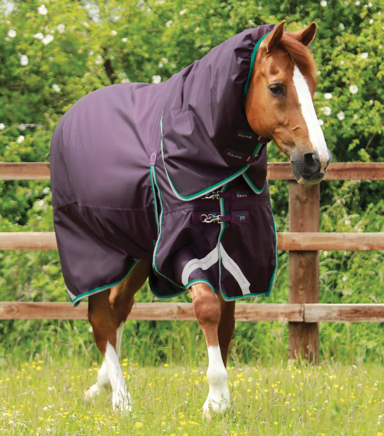 Buster 200g Turnout Rug with Snug-Fit Neck Cover
