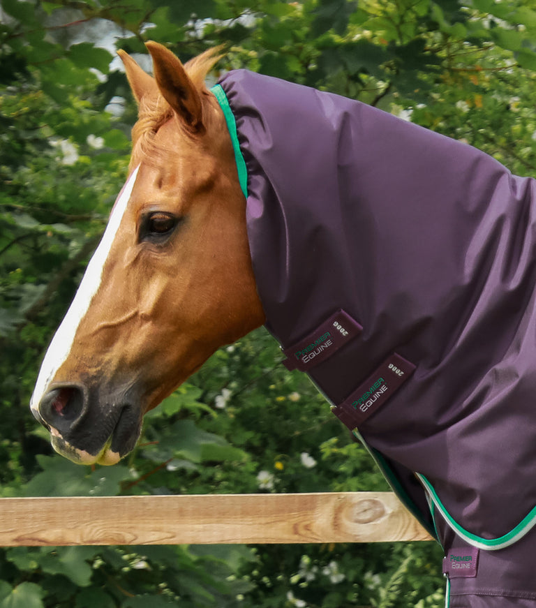 Buster 200g Turnout Rug with Snug-Fit Neck Cover