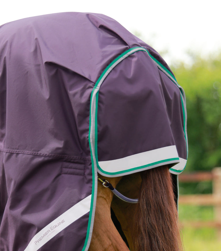 Buster 200g Turnout Rug with Snug-Fit Neck Cover