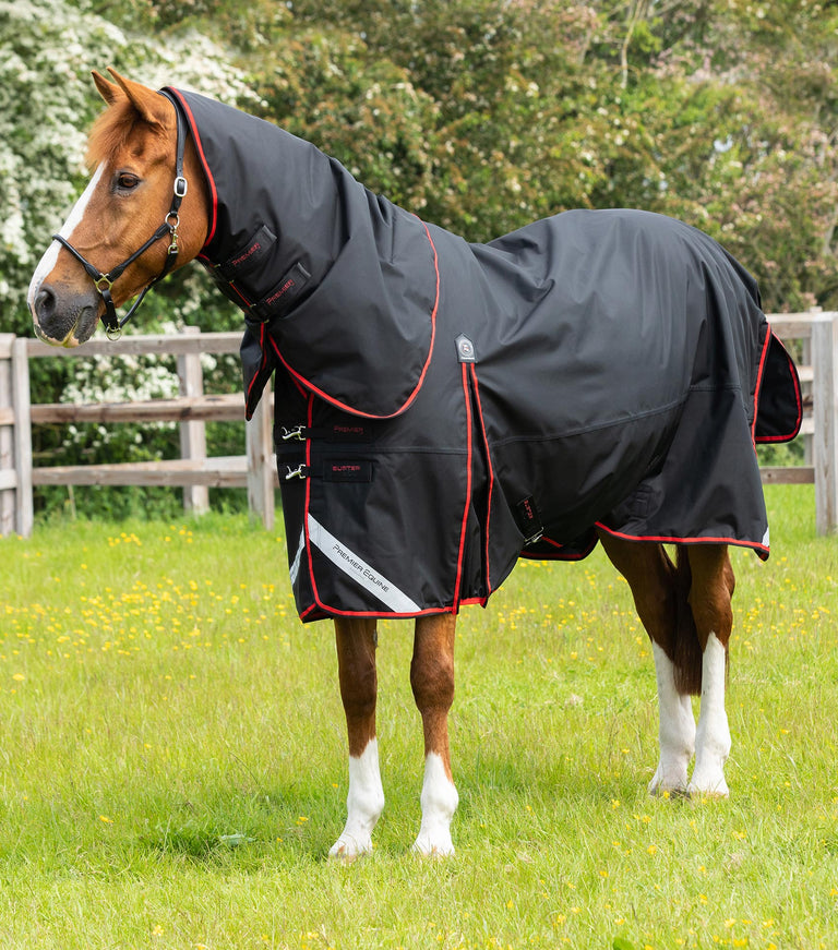 EX DISPLAY - Buster 250g Turnout Rug with Classic Neck Cover