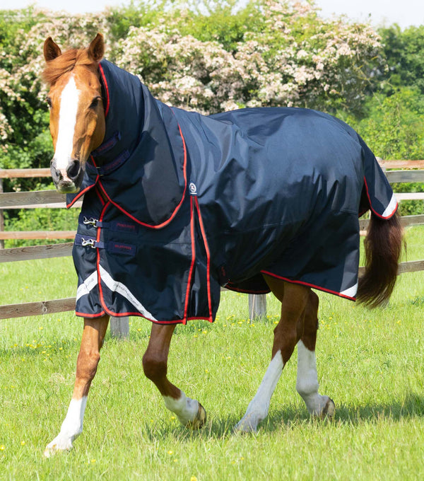 Buster 250g Turnout Rug with Classic Neck Cover