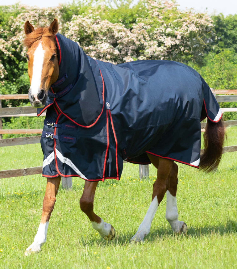 Buster 250g Turnout Rug with Classic Neck Cover
