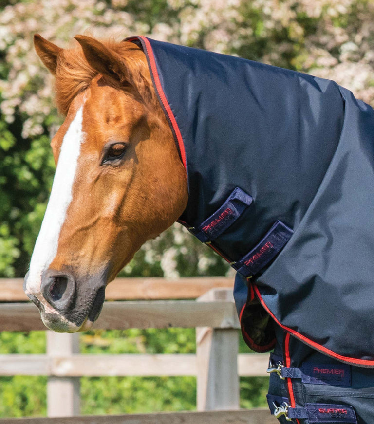 Buster 250g Turnout Rug with Classic Neck Cover