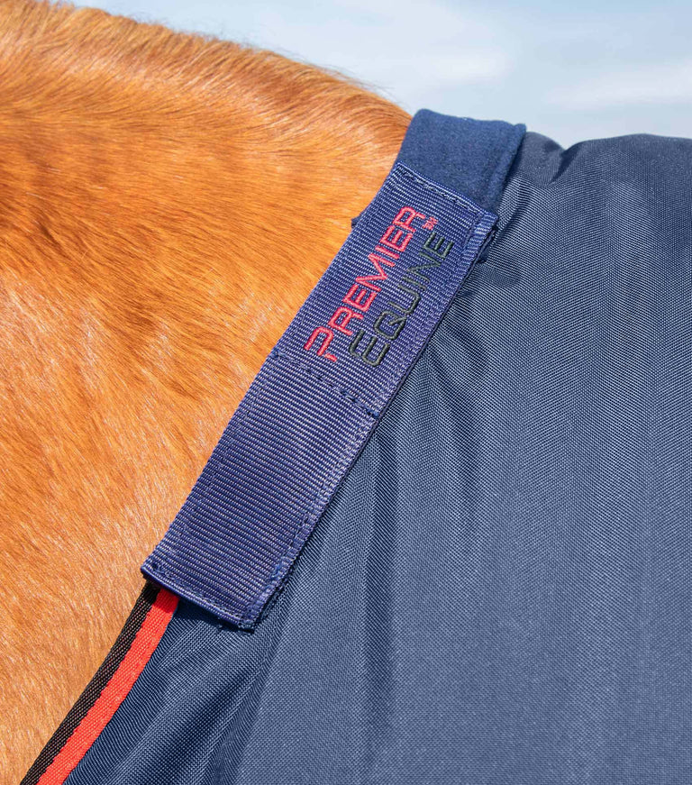Buster 250g Turnout Rug with Classic Neck Cover