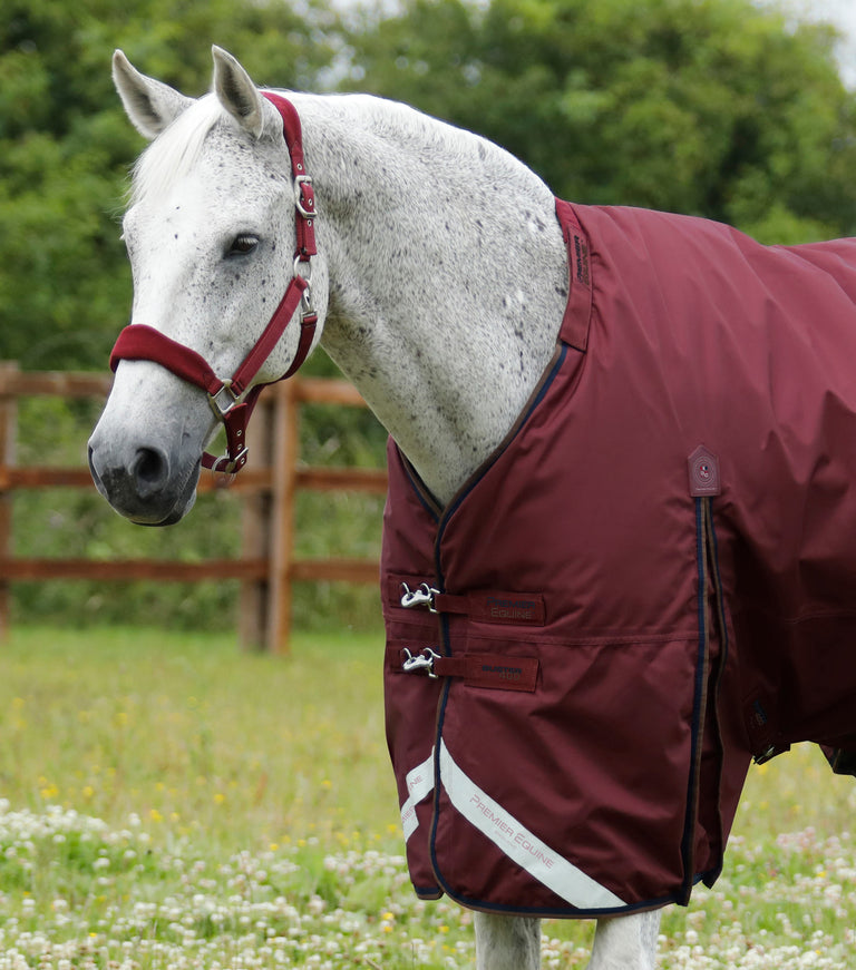 Buster 400g Turnout Rug with Snug-Fit Neck Cover